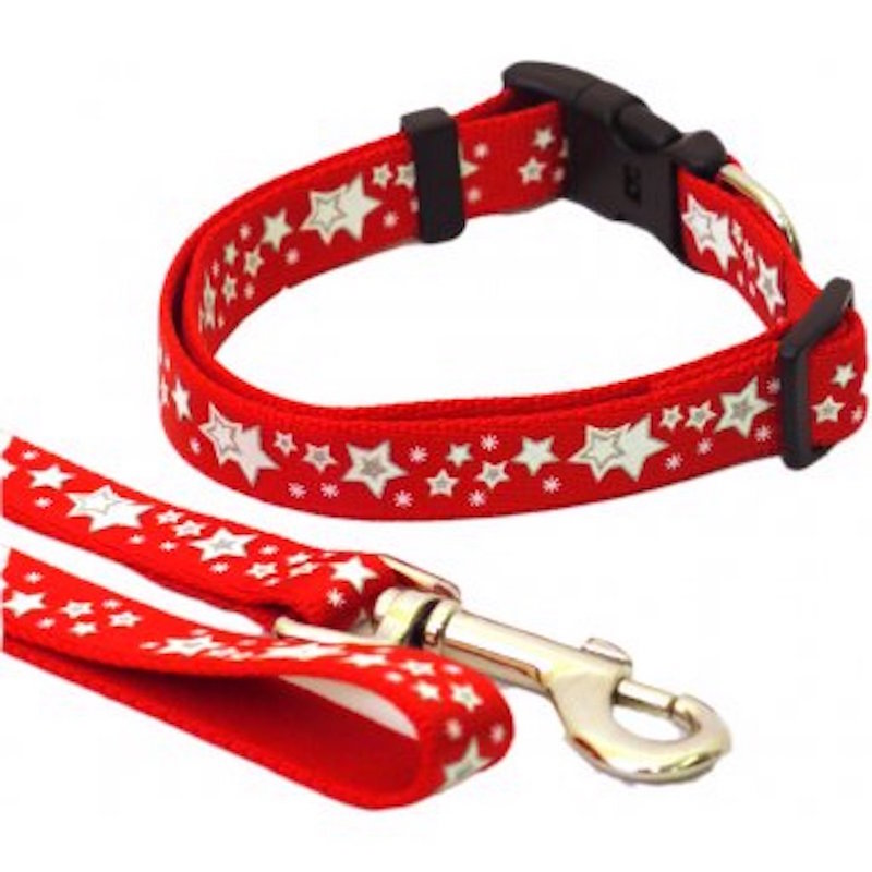 Dog Lead & Collar