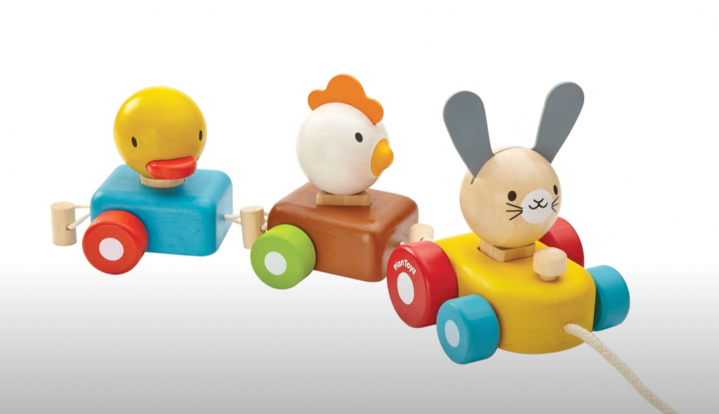 Plan Toys Animal Train Sorter