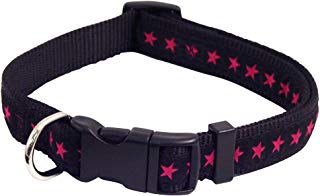 Hot Pink Star Dog Collar