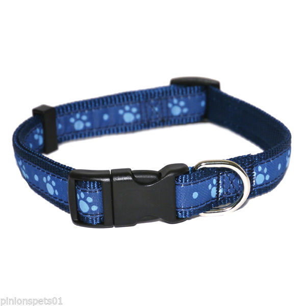 Rosewood Blue Paw Dog Collar