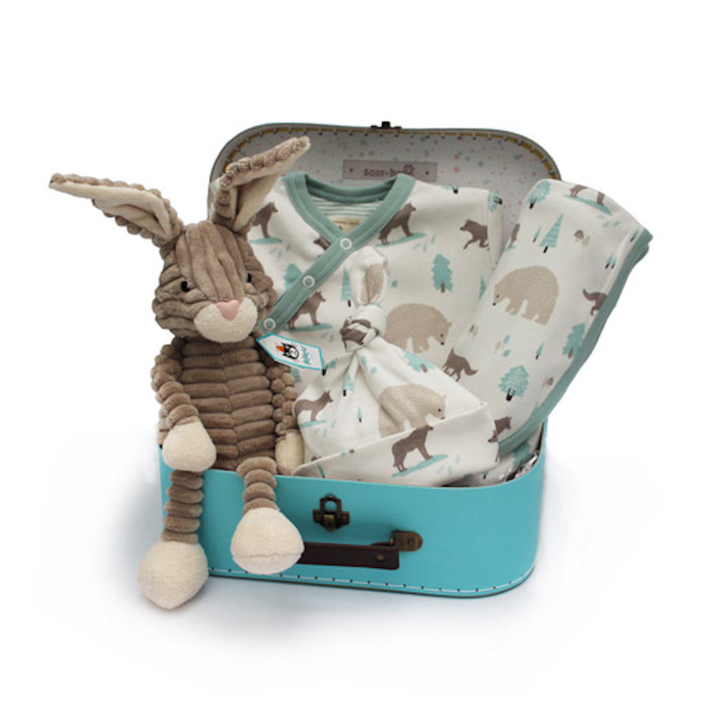 suitcase gift set with pigeon organics woodland winter hare and rabbit baby sleepsuit hat and blanket