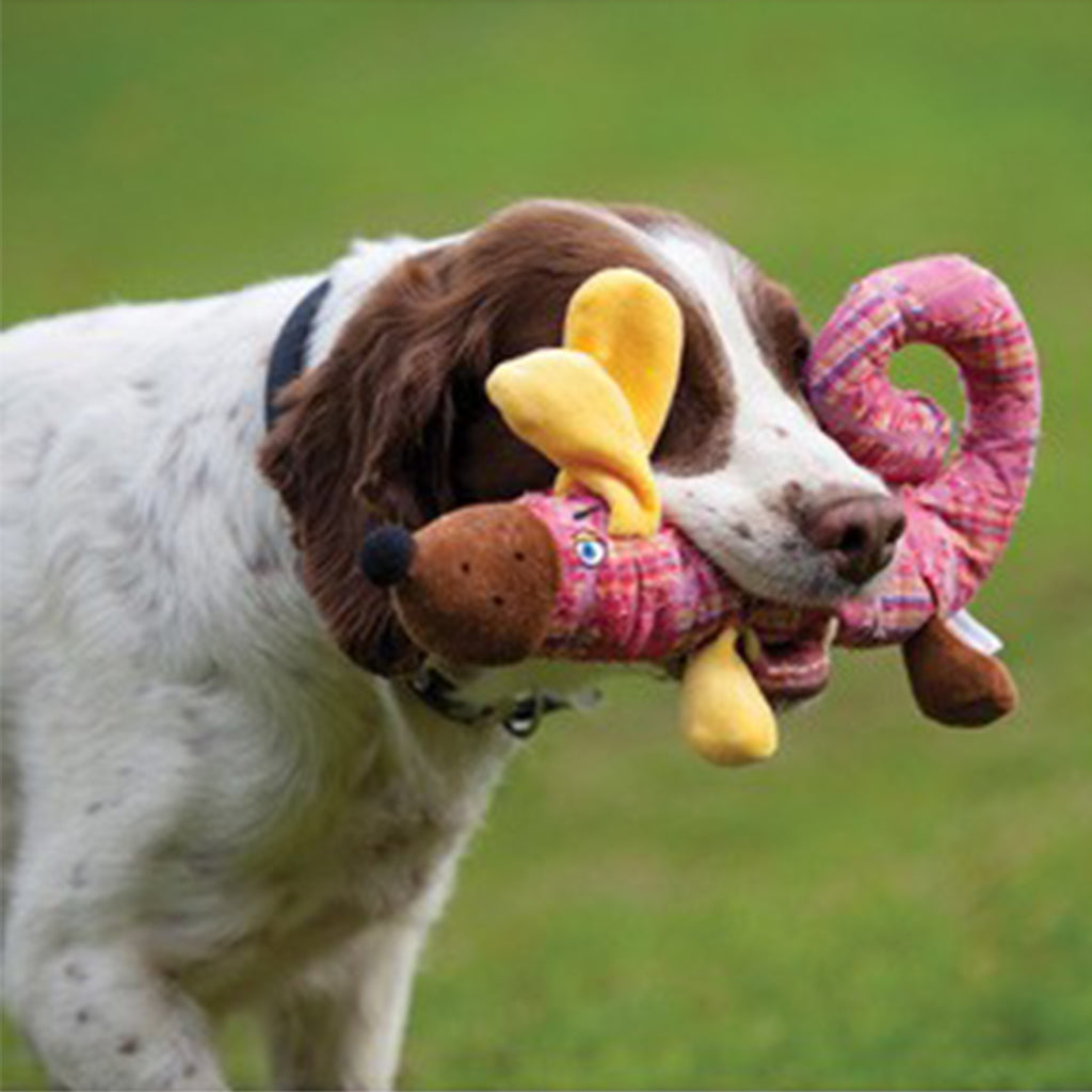 dog biting a Pink plush dog toy that crinkles with squeaker inside and yellow ears